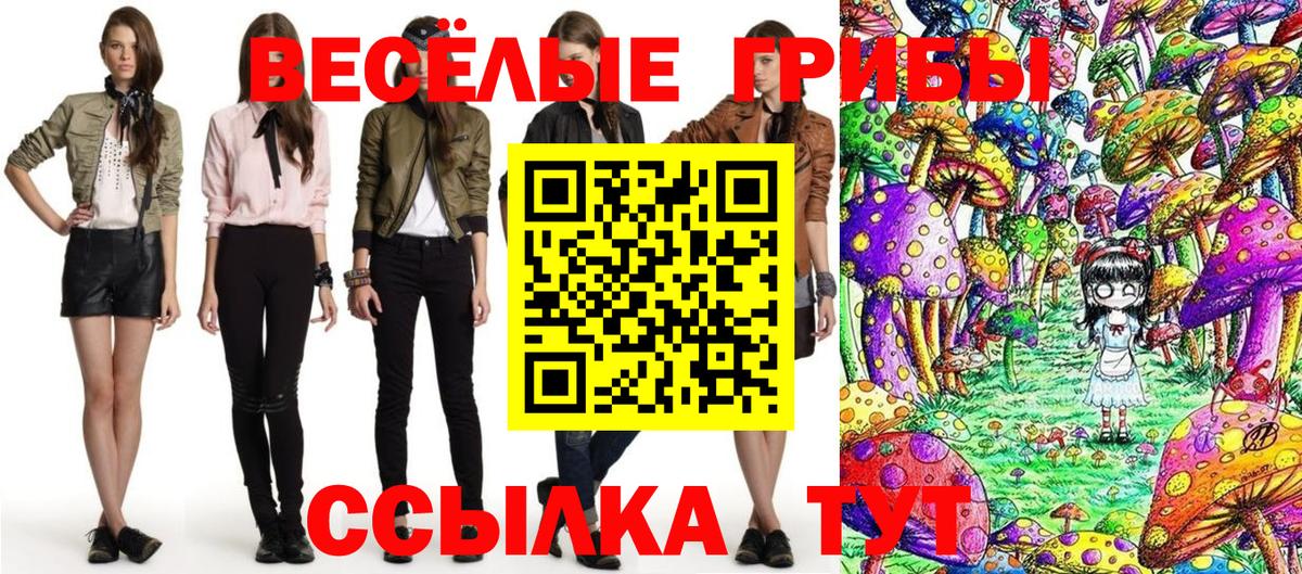 Омск  Галлюциногенные грибы Psilocybe  Вход с VPN 